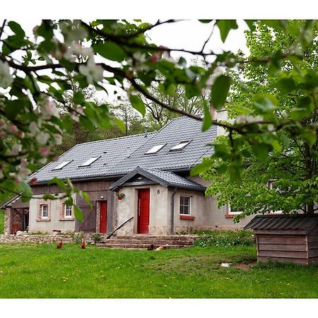 Kozy I Roze Villa Oldrzychowice Klodzkie Exteriör bild
