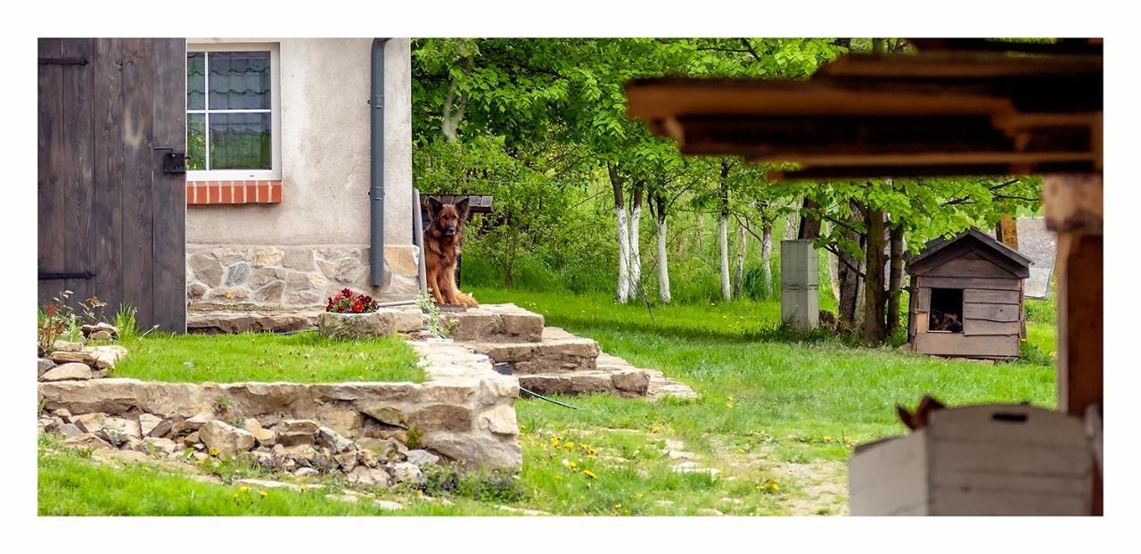 Kozy I Roze Villa Oldrzychowice Klodzkie Exteriör bild