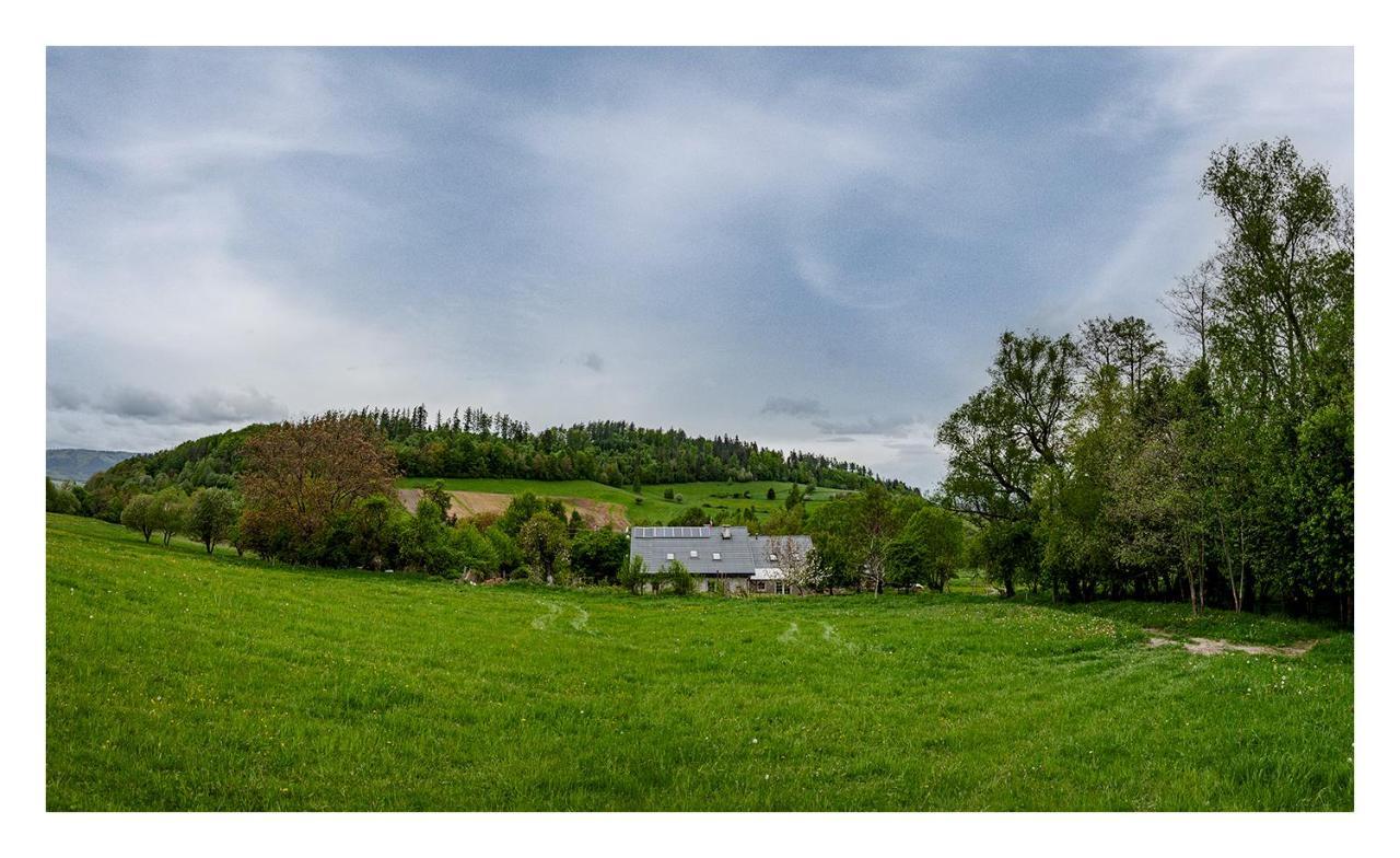 Kozy I Roze Villa Oldrzychowice Klodzkie Exteriör bild