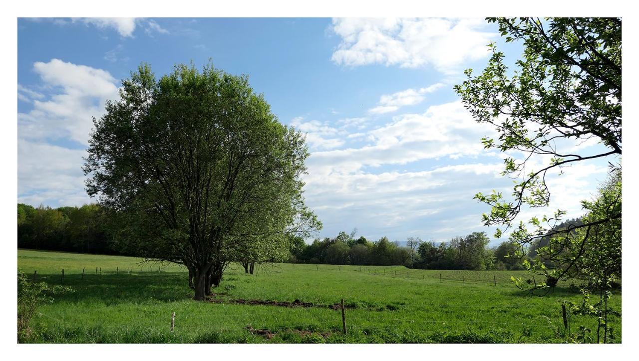 Kozy I Roze Villa Oldrzychowice Klodzkie Exteriör bild